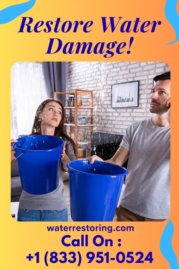 water restoration Universal Damage Restoration Specialists Alma