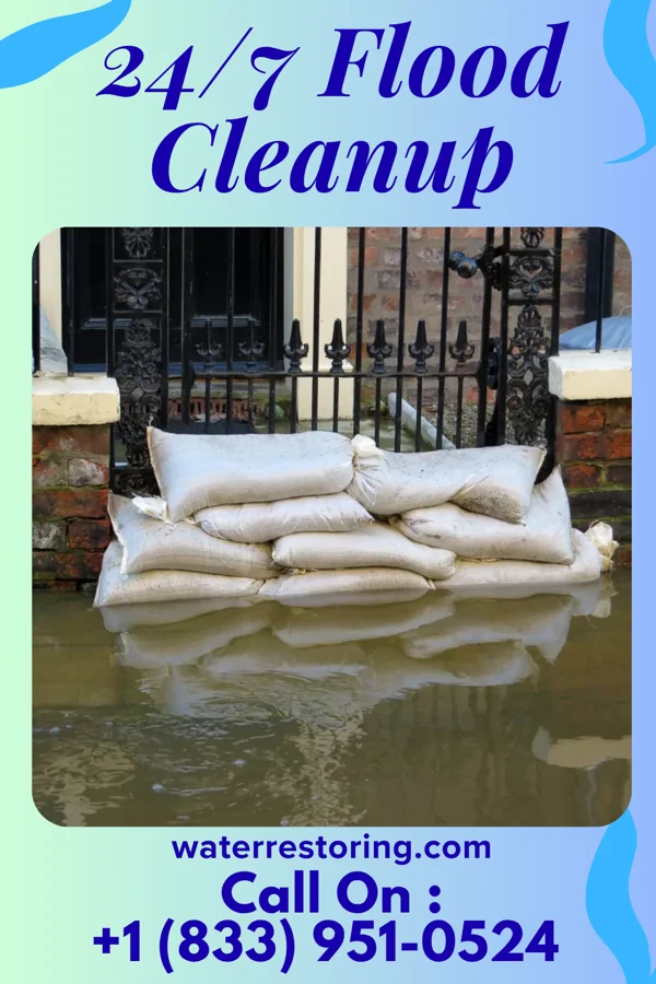24/7 Flood Cleanup in Alma, MO