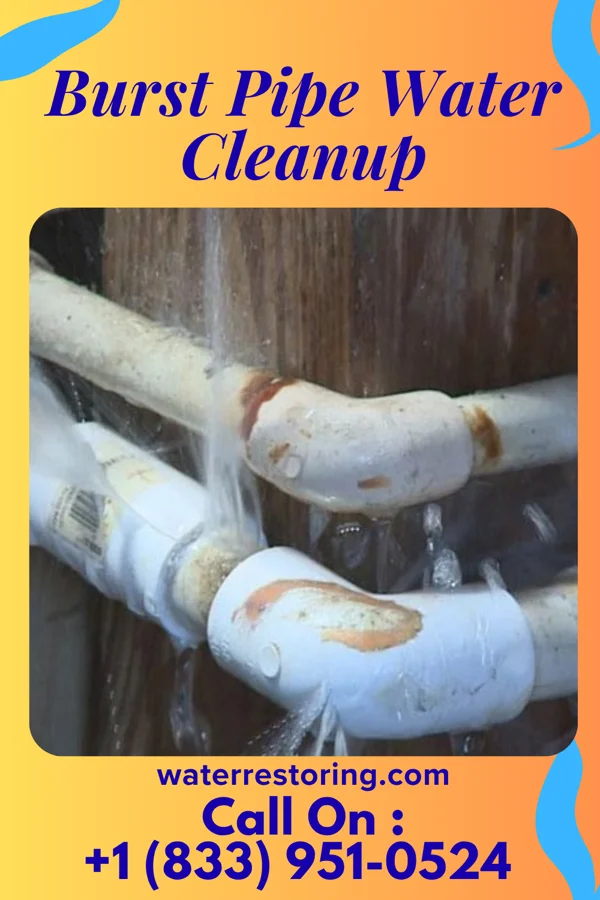 Burst Pipe Water Cleanup in Alma, MO