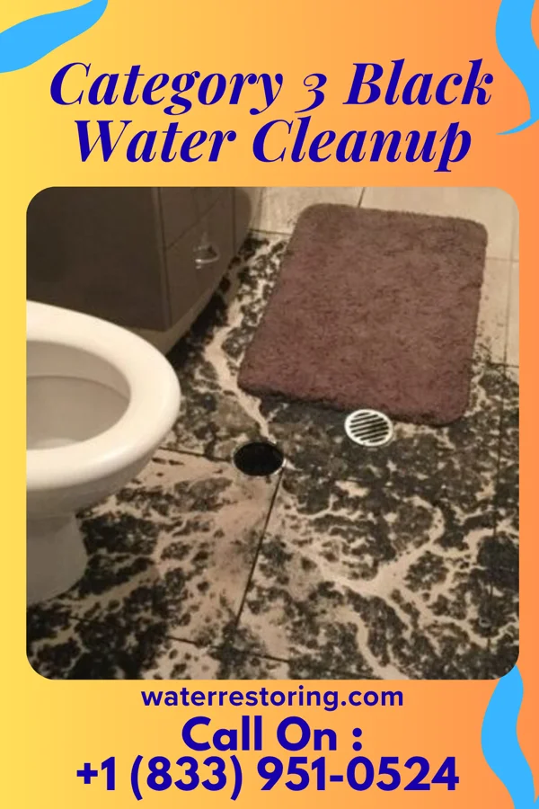 Category 3 Black Water Cleanup in Alma, MO