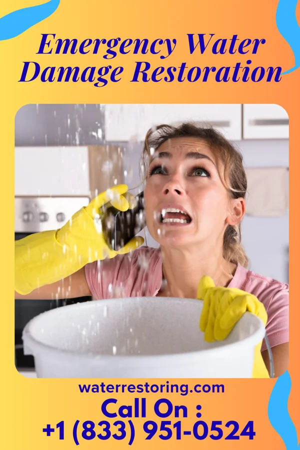 Emergency Water Damage Restoration in Alma, MO