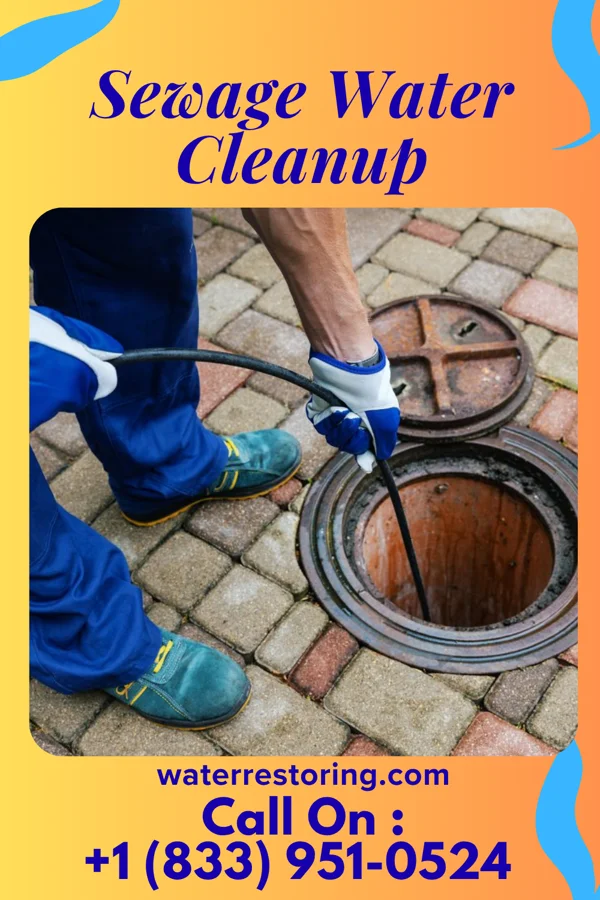 Sewage Water Cleanup in Alma, MO